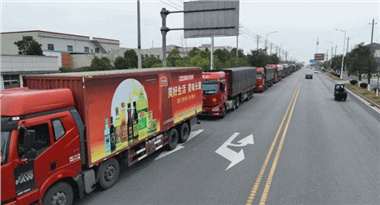 馬年“開門紅”！長康集團首日訂單額突破3000萬元